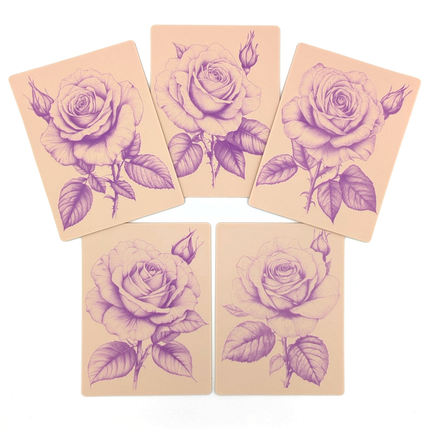 Realistic roses set