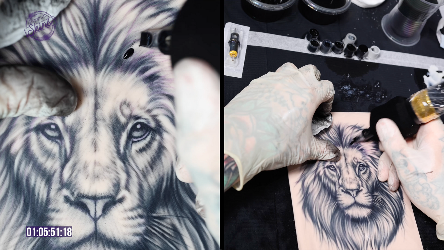 Stencil Skins® Pre-printed Realistic Big Cat Designs Bundle