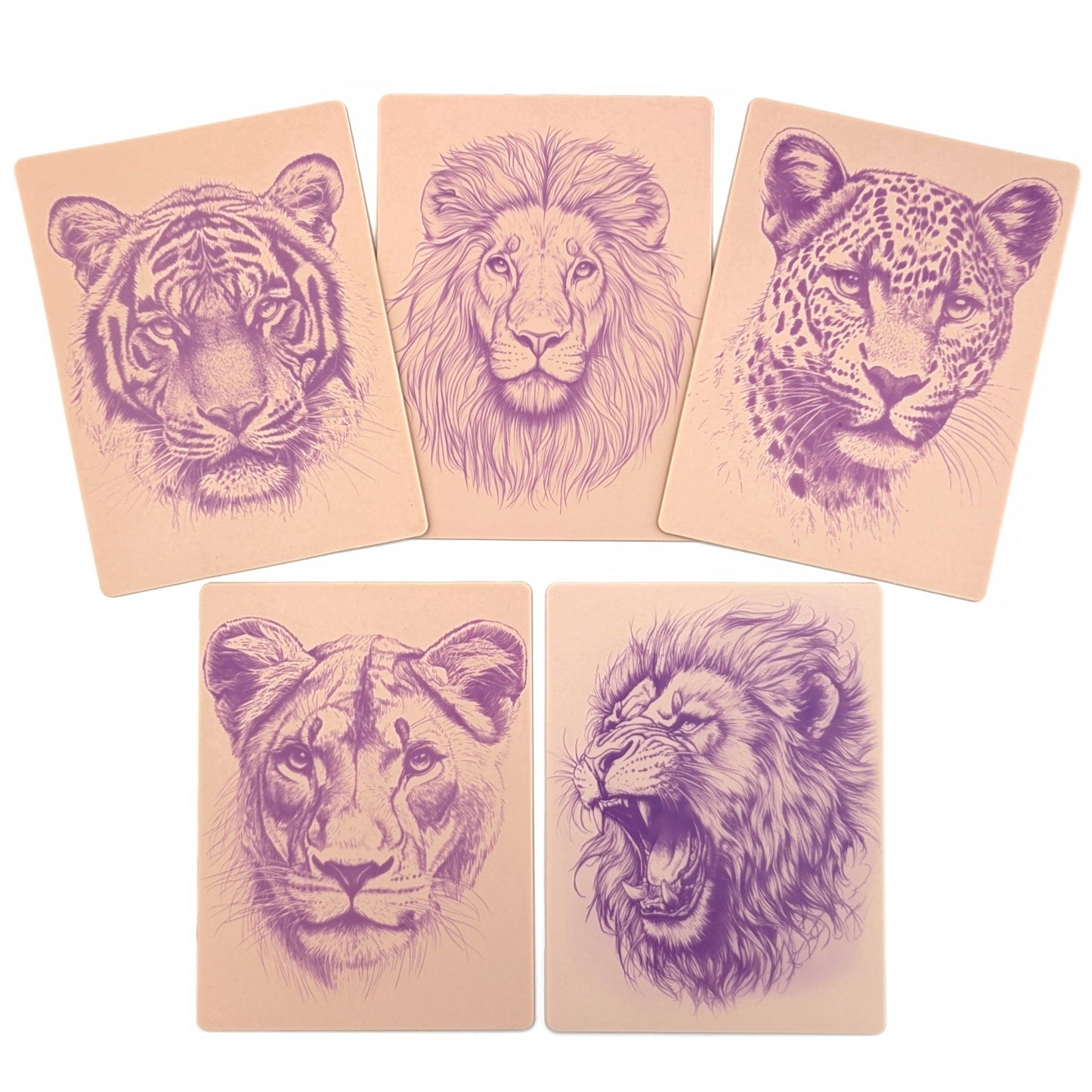 Stencil Skins® Pre-printed Tattoo Practice Skins with Stencils (Pack of 5- Big Cat Set)